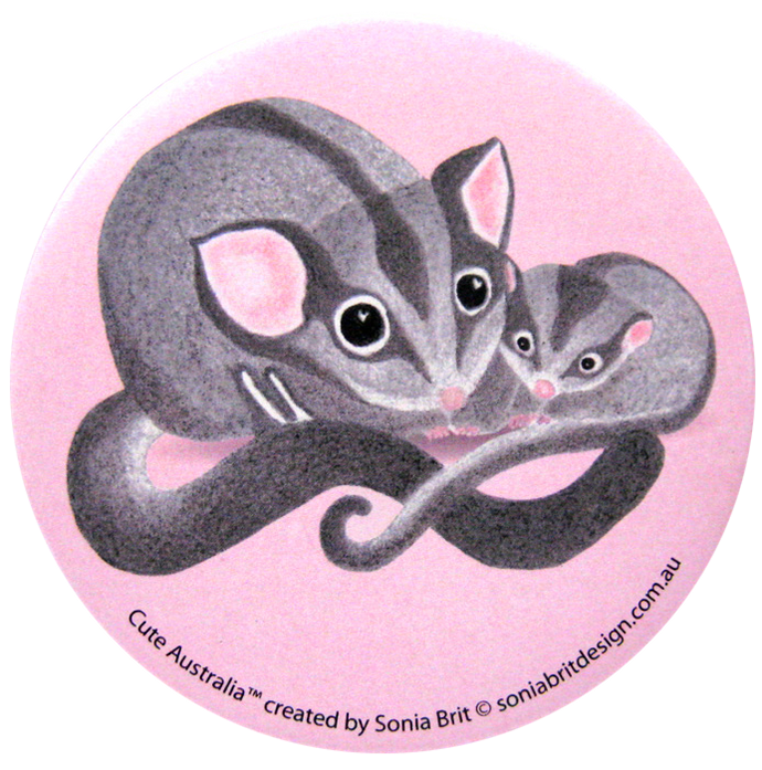 Cute Australia sugar glider mirror